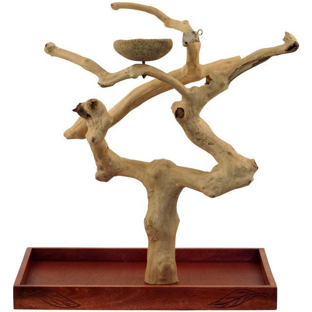 Java Tabletop Tree Medium Natural Hardwood Parrot Stand
