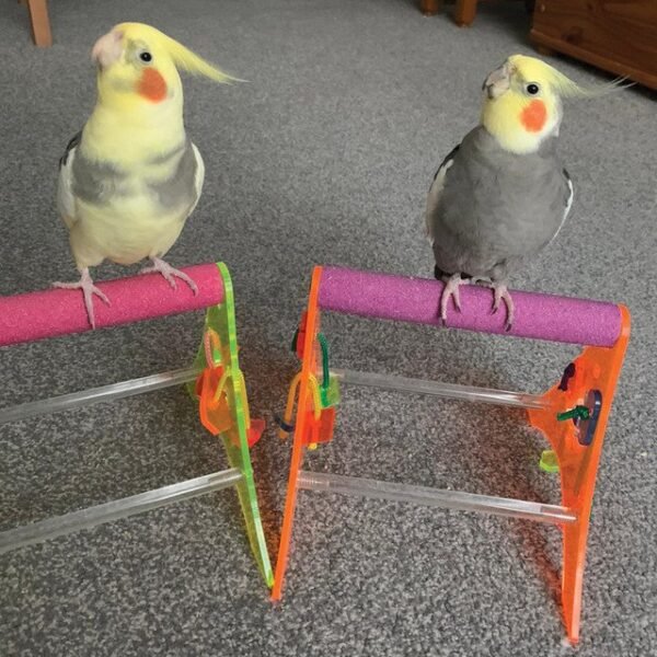 Sanded Nail Trimming Tabletop Parrot Stand – Medium Sanded Nail Trimming Tabletop Parrot Stand – Medium