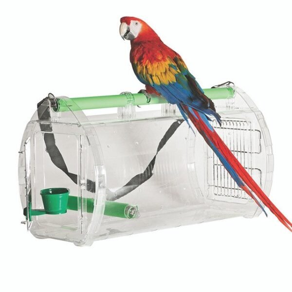 Large Perch and Go Acrylic Parrot Carrier Large Perch and Go Acrylic Parrot Carrier