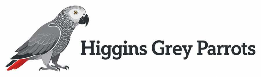 Higgins Grey Parrots